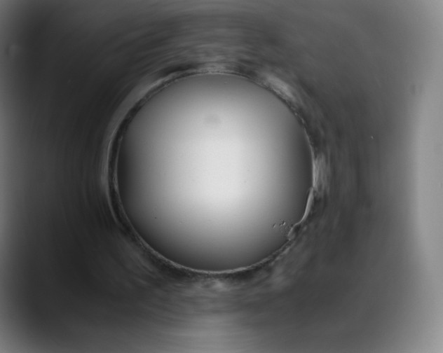 X0000089870195200707121800