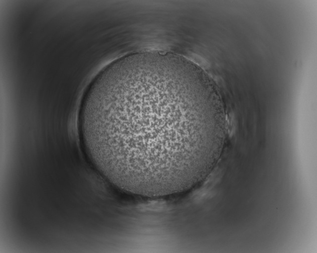 X0000089870196200707121800