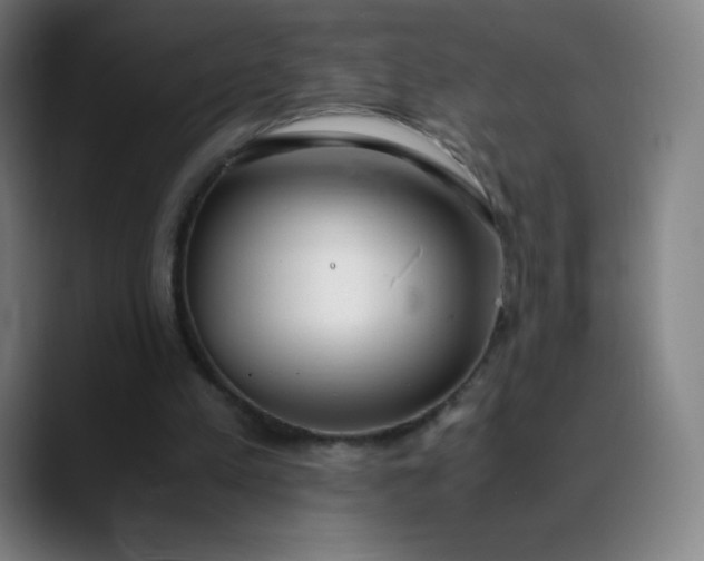 X0000089870197200707121800