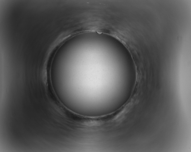 X0000089870198200707121800