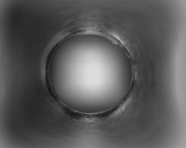 X0000089870199200707121800