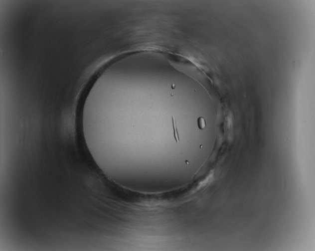 X0000089870200200707121800