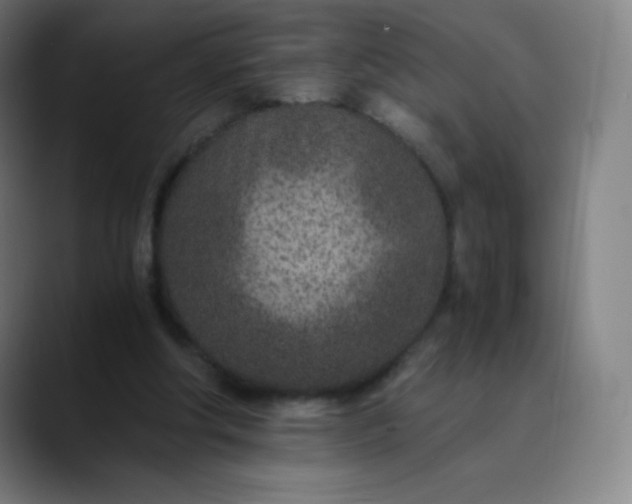 X0000089870202200707121800