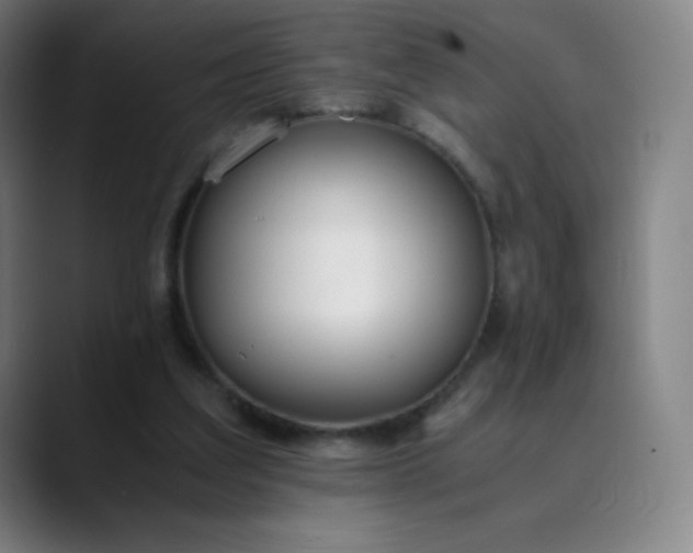 X0000089870203200707121800