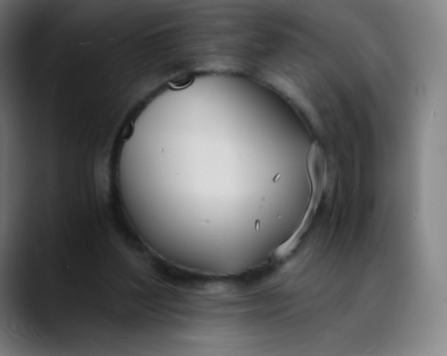 X0000089870204200707121800