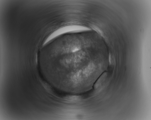 X0000089870205200707121800