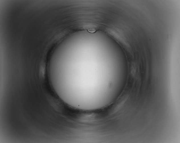 X0000089870206200707121800