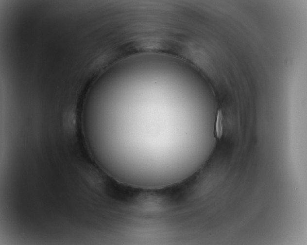 X0000089870207200707121800