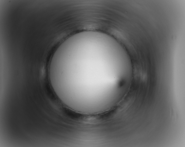 X0000089870208200707121800