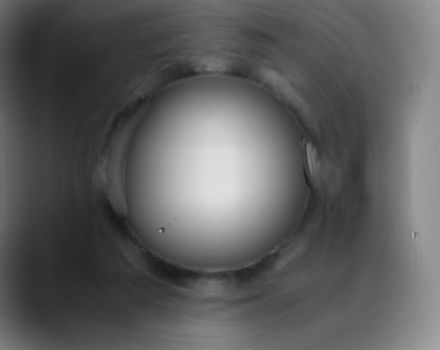 X0000089870209200707121800