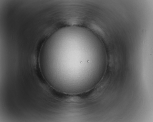 X0000089870210200707121800