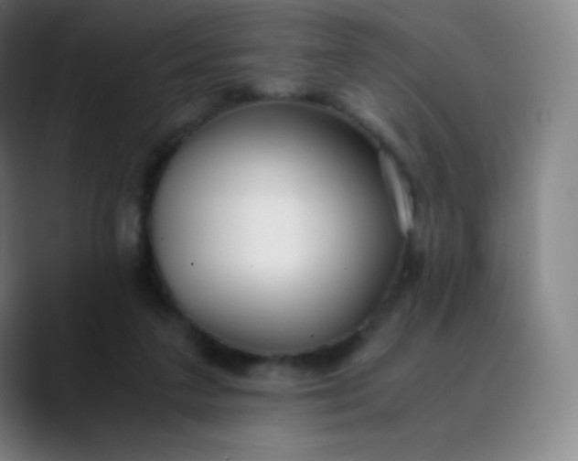 X0000089870211200707121800