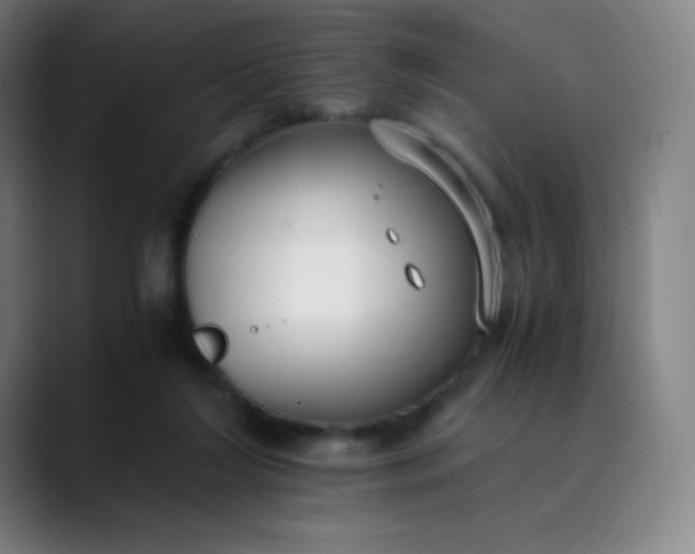 X0000089870212200707121800