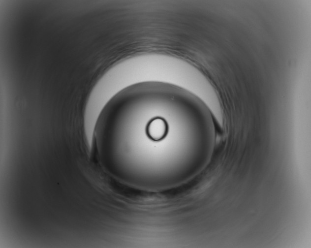 X0000089870215200707121800