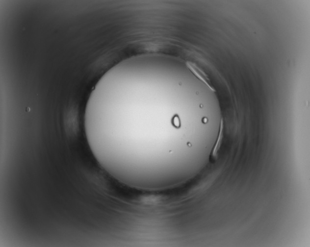 X0000089870216200707121800