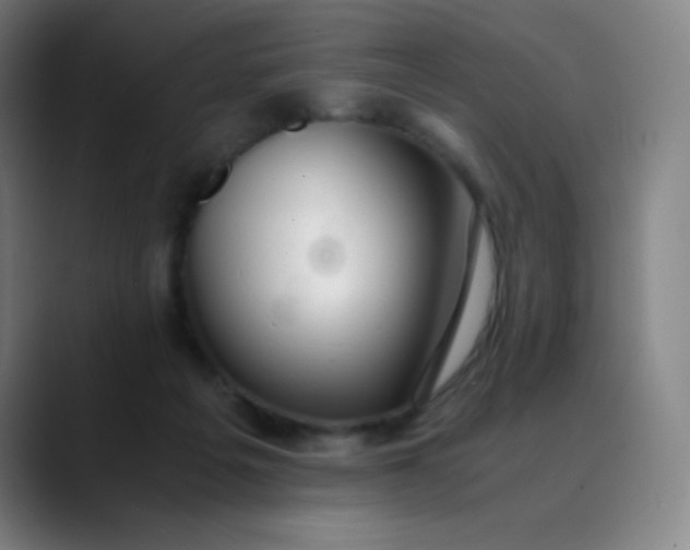 X0000089870217200707121800