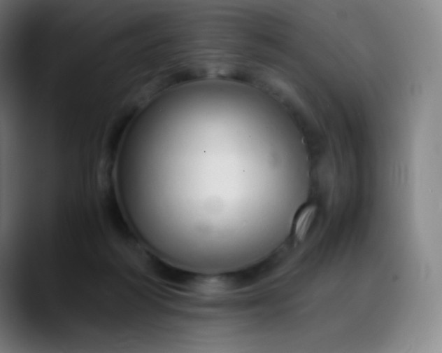 X0000089870218200707121800