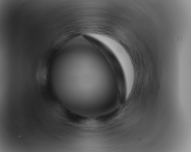 X0000089870219200707121800