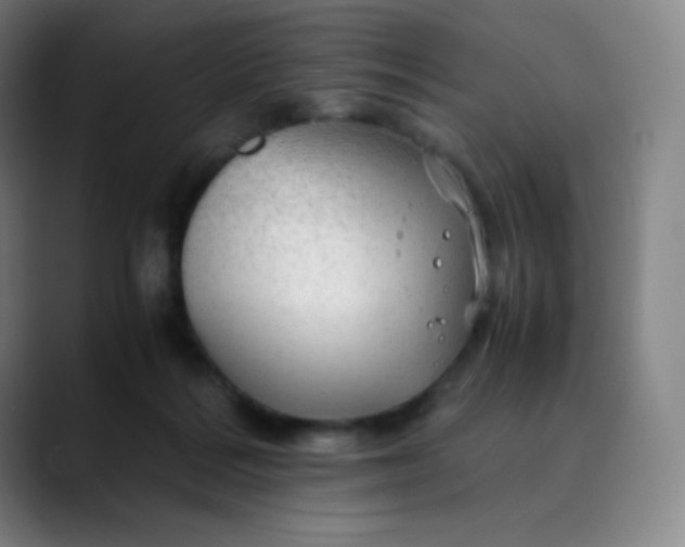 X0000089870220200707121800