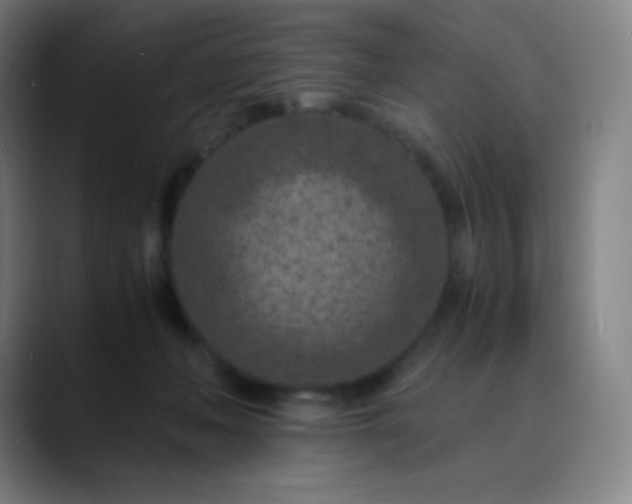 X0000089870222200707121800