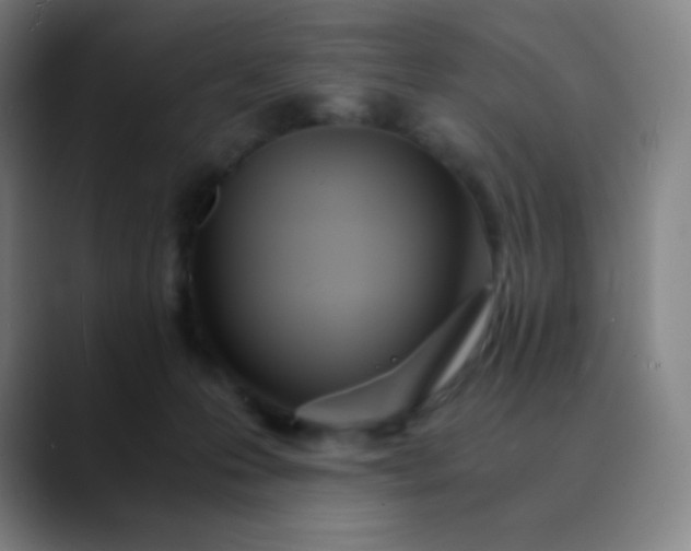 X0000089870223200707121800