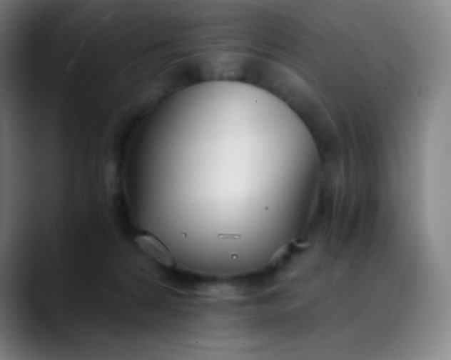 X0000089870224200707121800