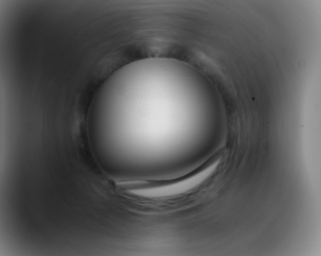 X0000089870225200707121800