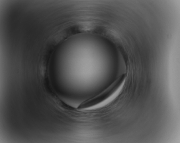 X0000089870227200707121800