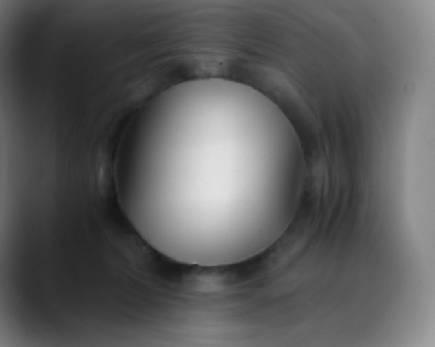 X0000089870228200707121800