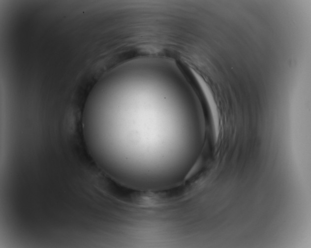 X0000089870229200707121800