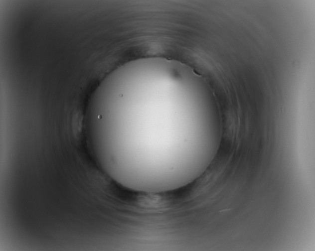 X0000089870230200707121800