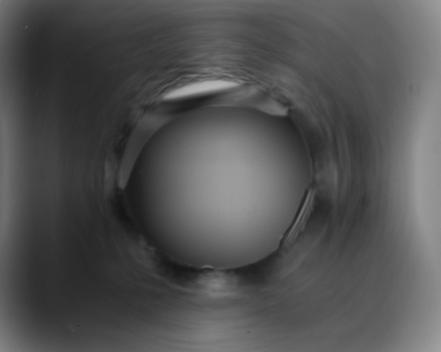 X0000089870231200707121800