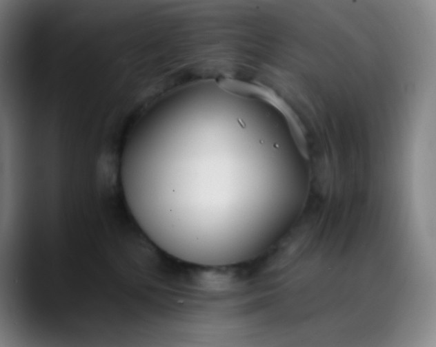 X0000089870232200707121800