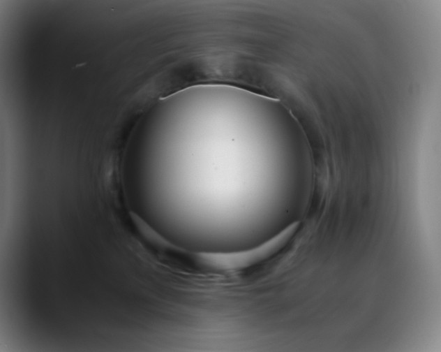 X0000089870233200707121800