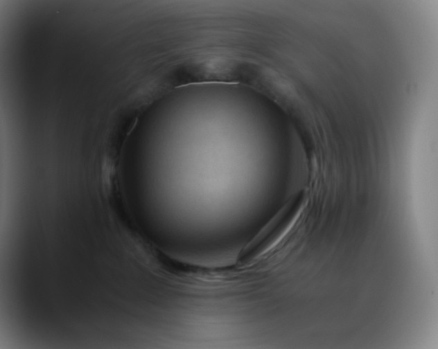 X0000089870235200707121800