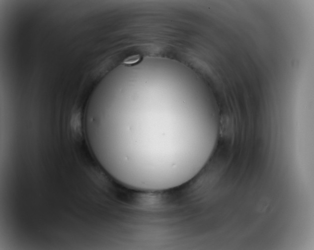 X0000089870238200707121800