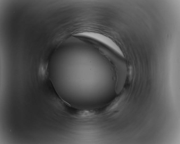 X0000089870239200707121800