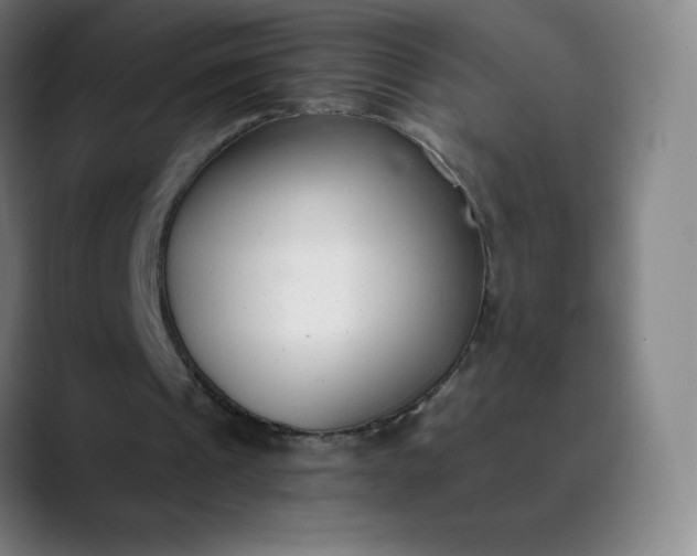 X0000089870241200707121759