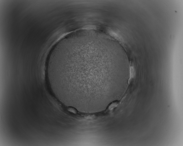 X0000089870243200707121759