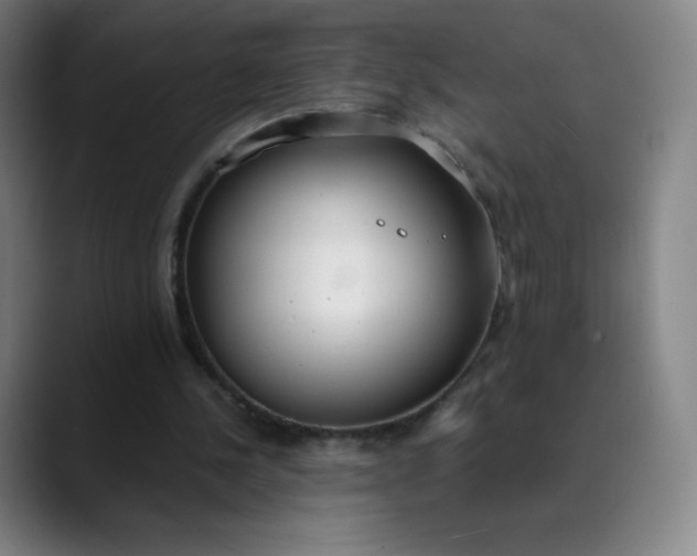 X0000089870244200707121759