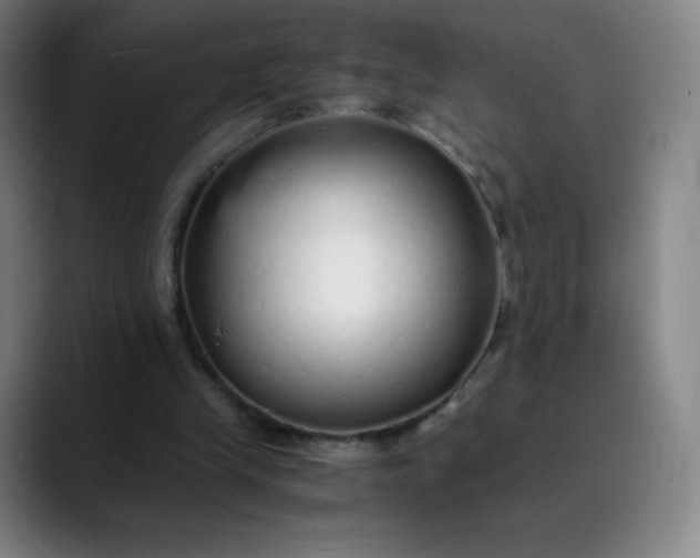 X0000089870245200707121759