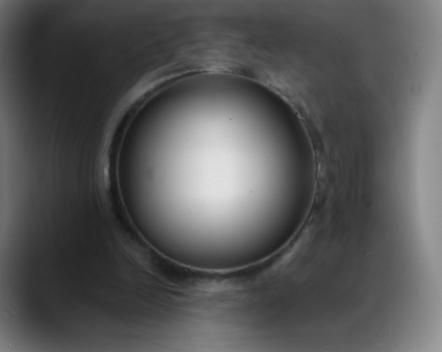 X0000089870246200707121759