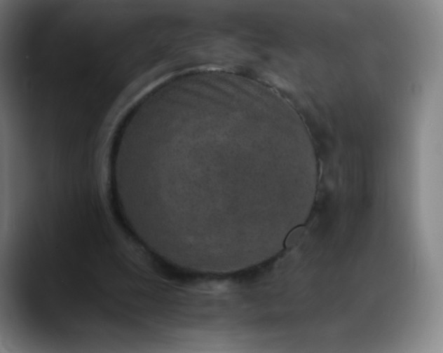 X0000089870247200707121759