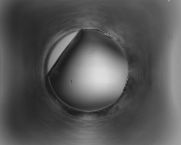 X0000089870248200707121759