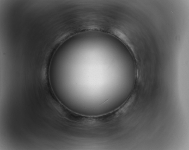 X0000089870249200707121759