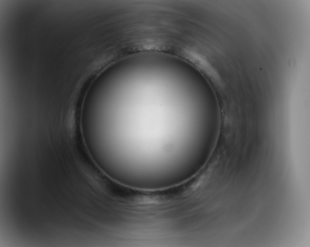 X0000089870250200707121759