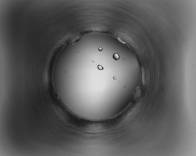 X0000089870252200707121759