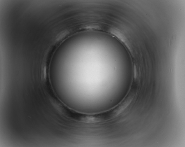 X0000089870253200707121759