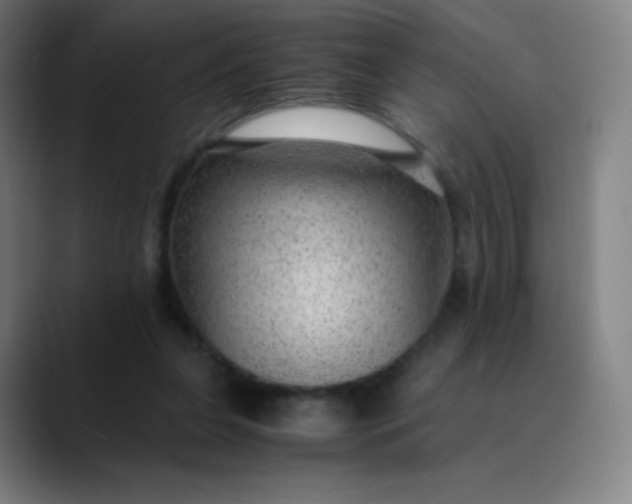 X0000089870255200707121759