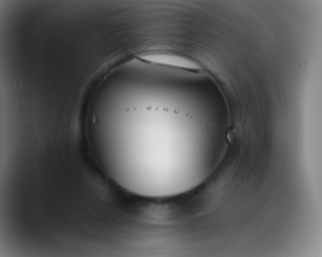 X0000089870256200707121759